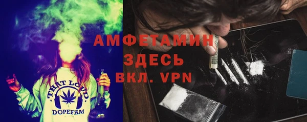 спиды Богородицк