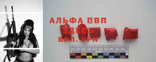 спиды Богородицк
