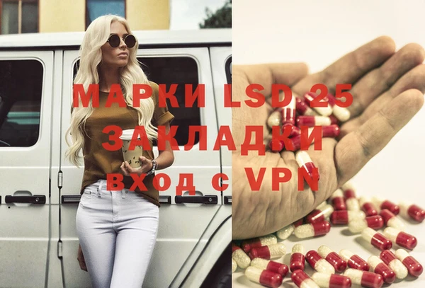 спиды Богородицк