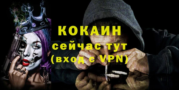 спиды Богородицк