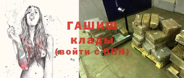 спиды Богородицк