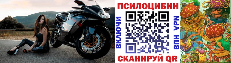 Галлюциногенные грибы Psilocybe  купить наркоту  МЕГА   Пестово 